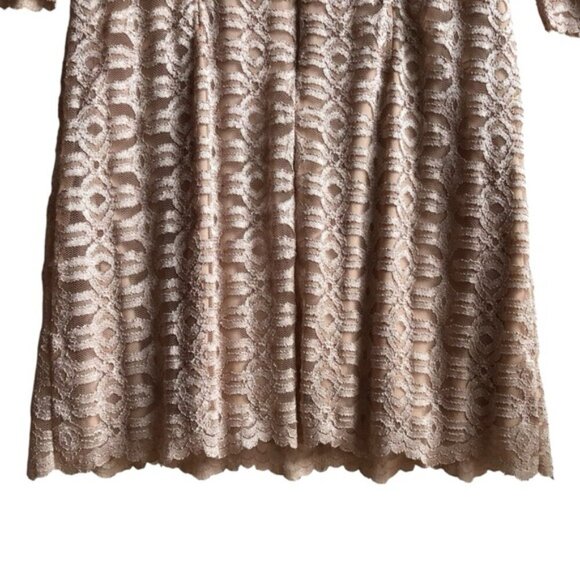 Eliza J Elegant Lace Dress Size 16 Champange - Picture 8 of 12